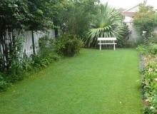 Kwikfynd Lawn and Turf
parapnt